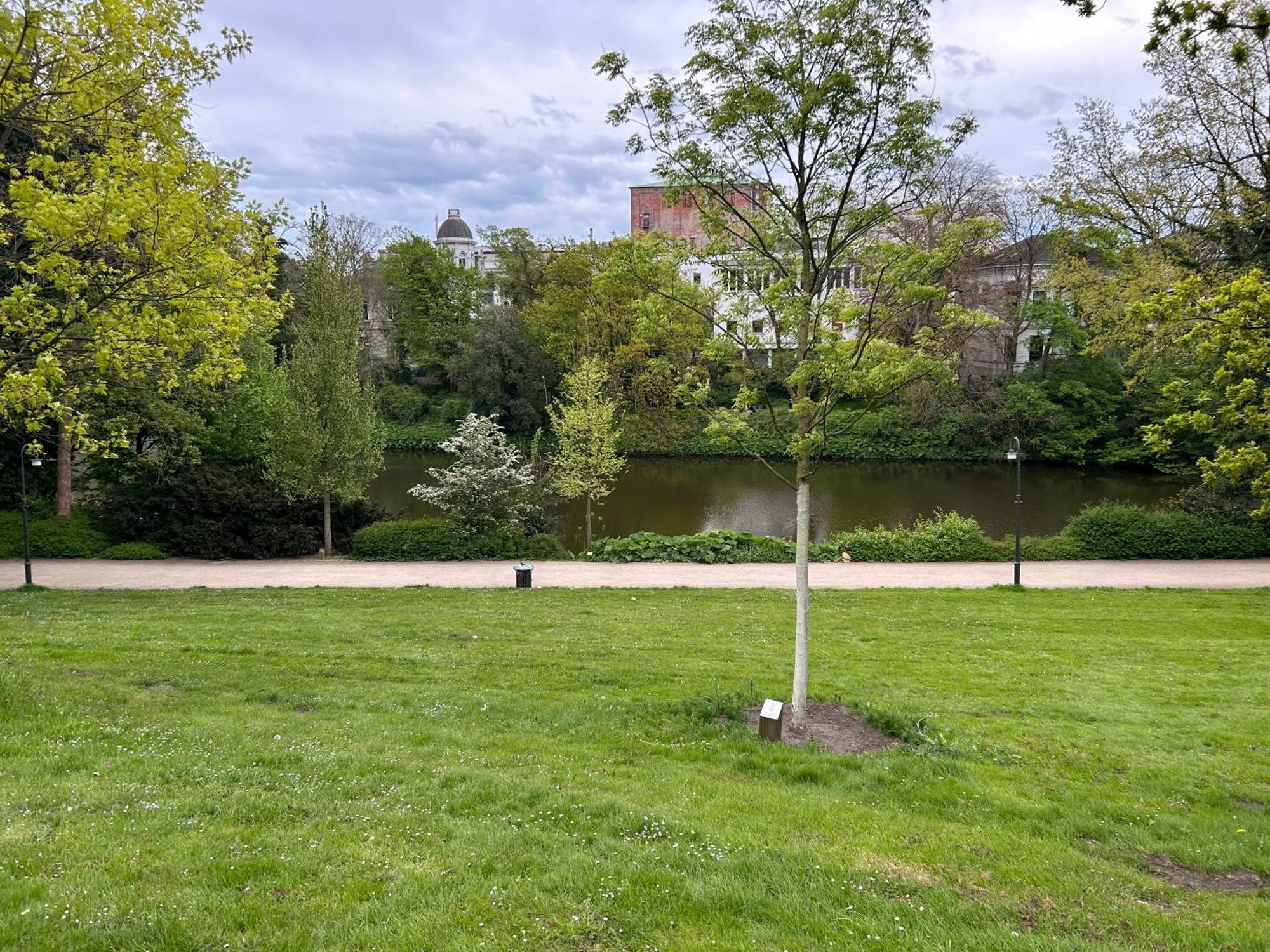 Homey Apartments - Riverside - Mit Weserblick Und Parkplatz Bremen Bagian luar foto